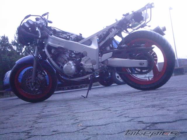 Photo 84933