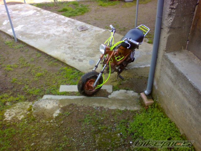 Photo 849518