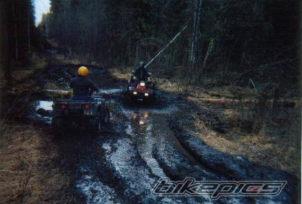 Photo 84993