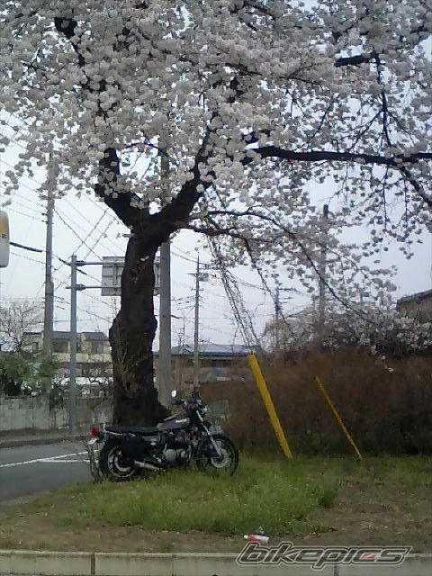 Photo 849955