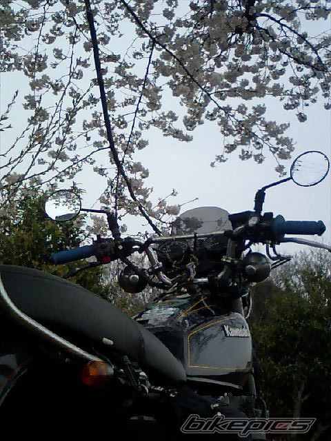 Photo 849956