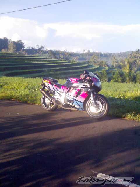 Photo 849971