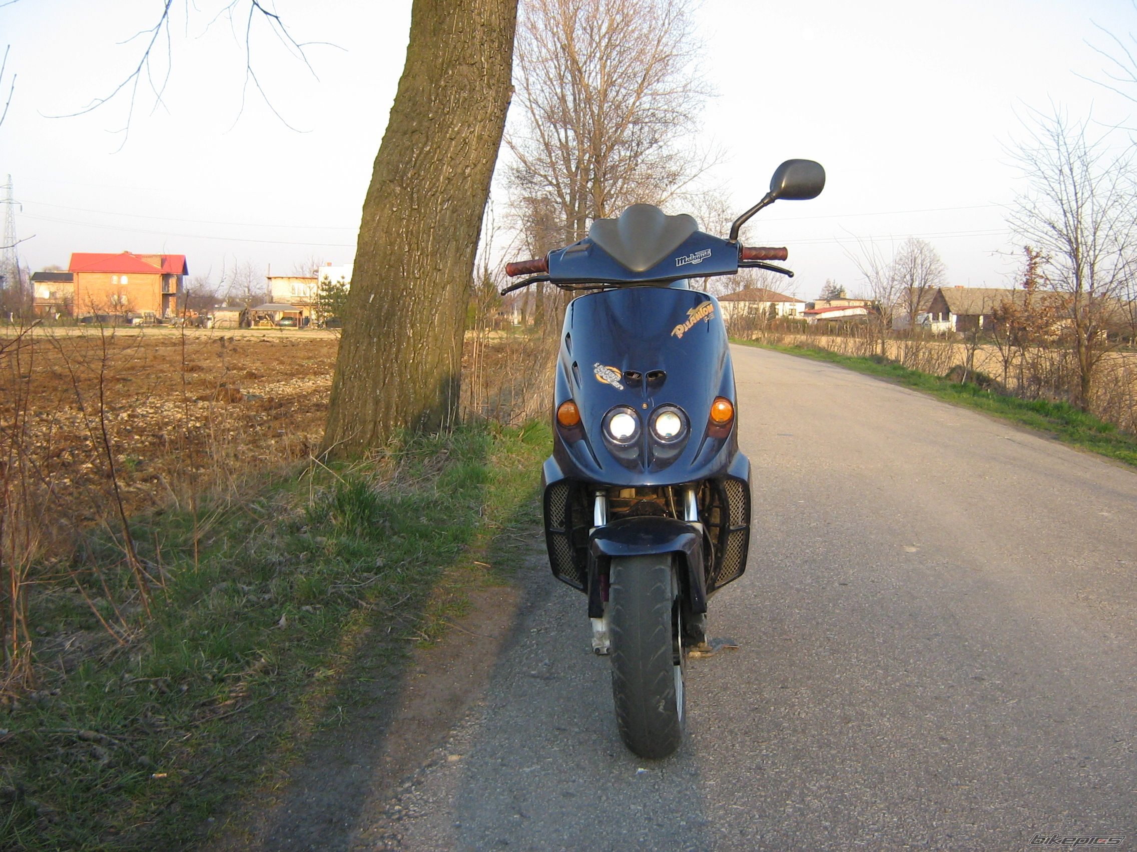 Photo 850354
