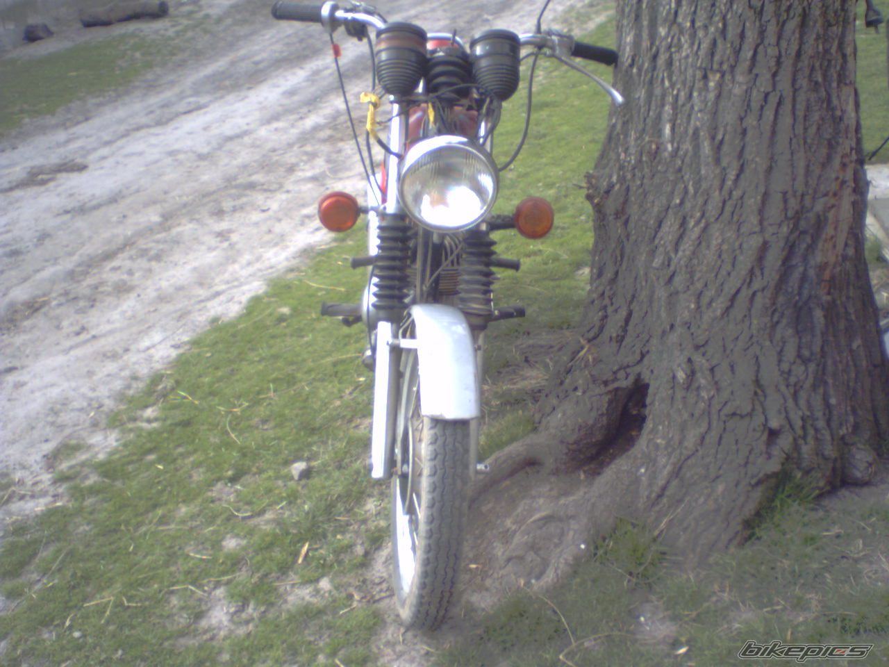 Photo 850399