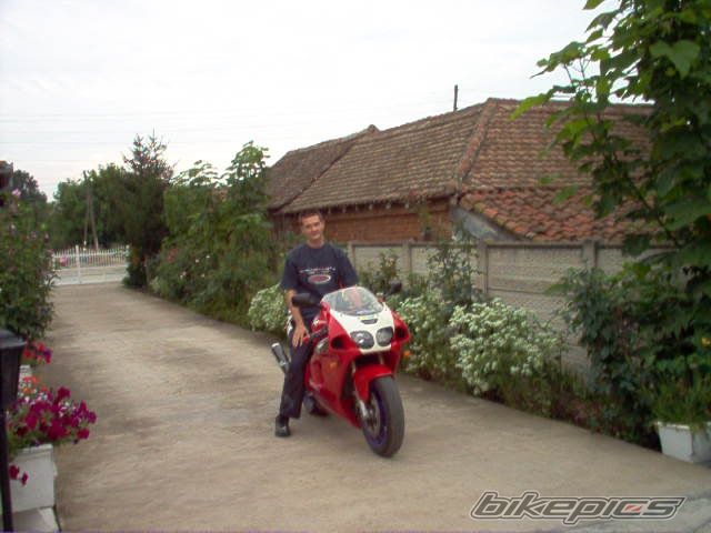Photo 850598