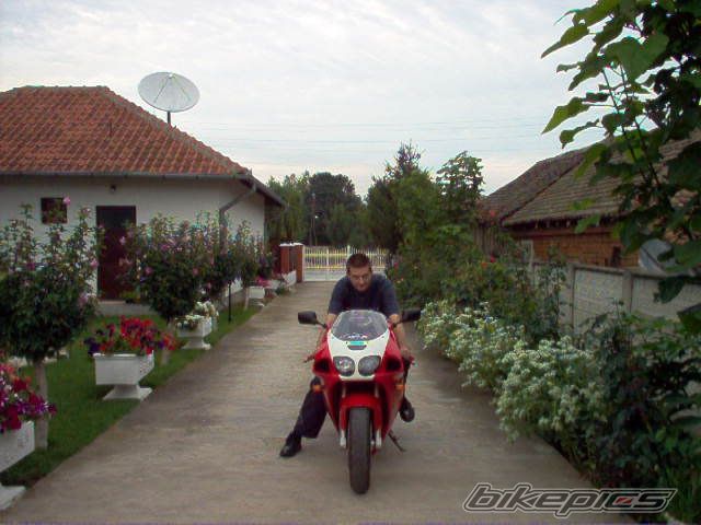 Photo 850620