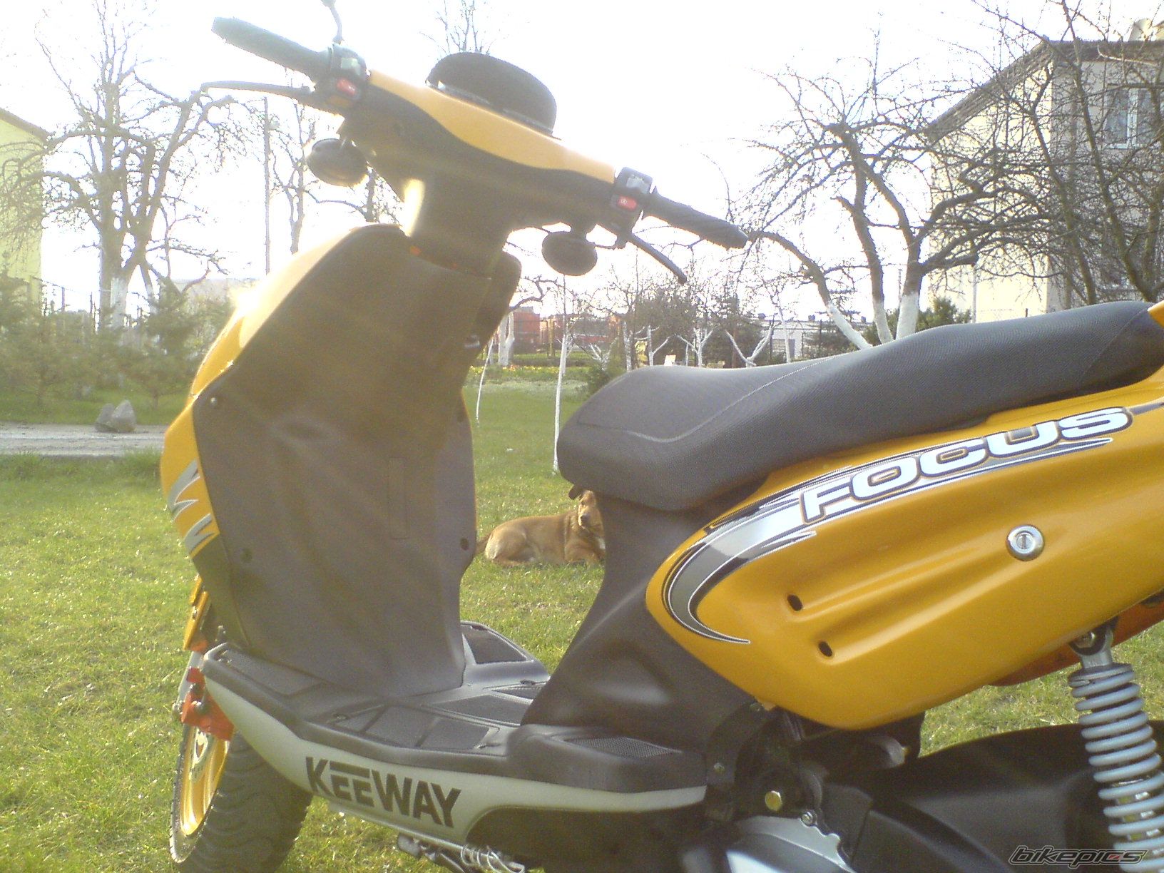 Bike Photo 850729