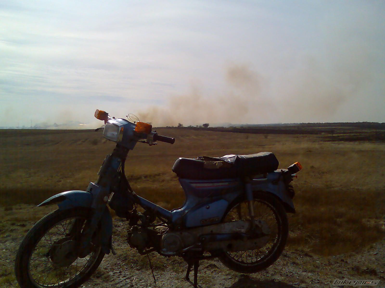 Photo 850857