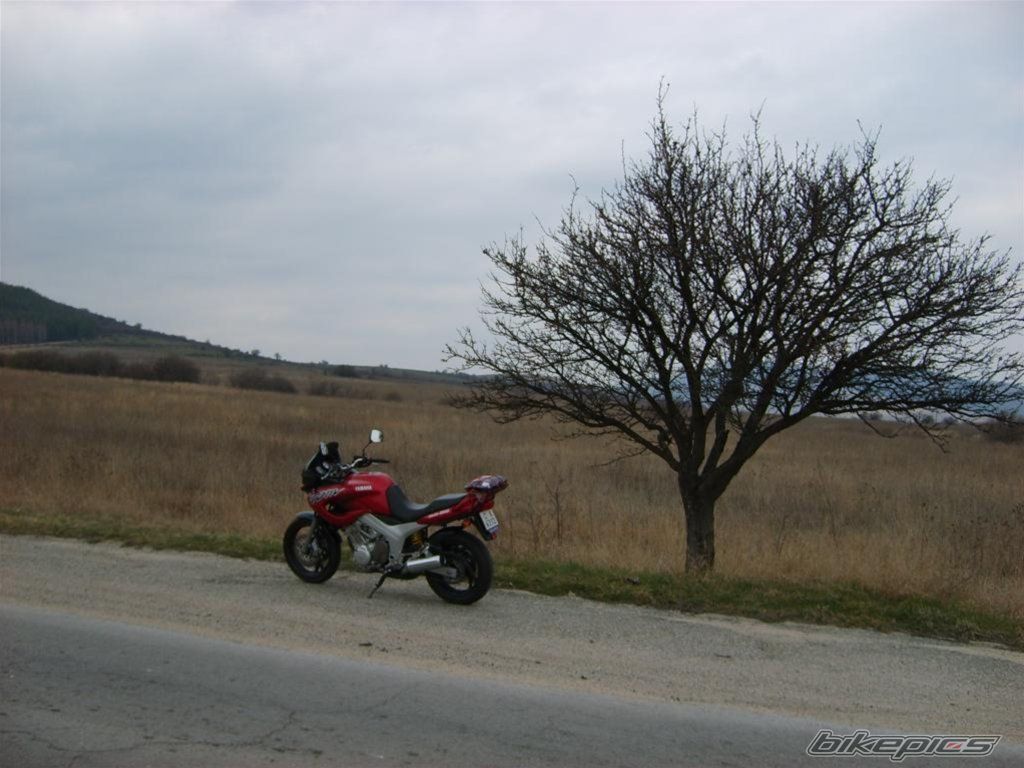 Bike Photo 851146