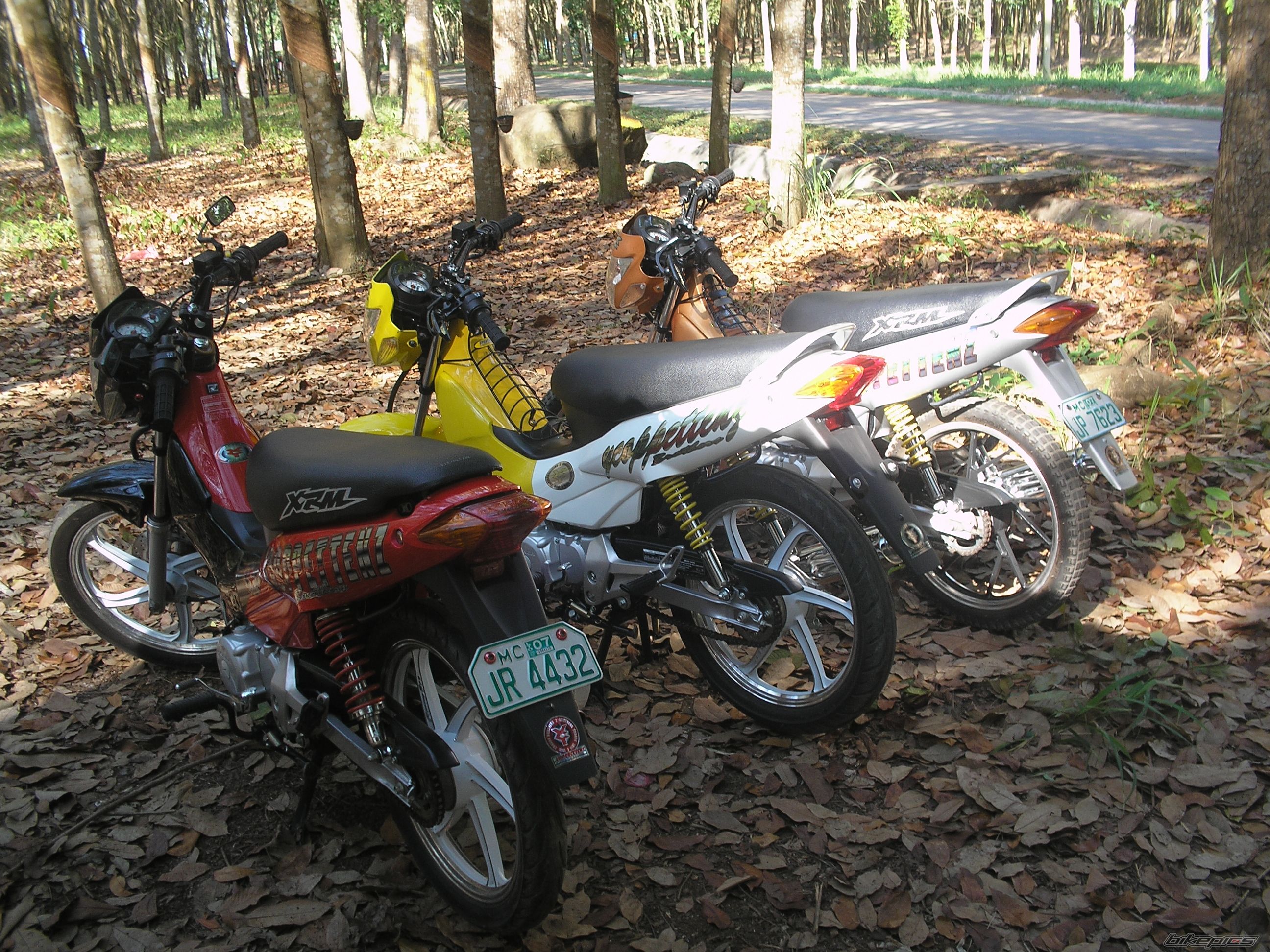 Photo 851263