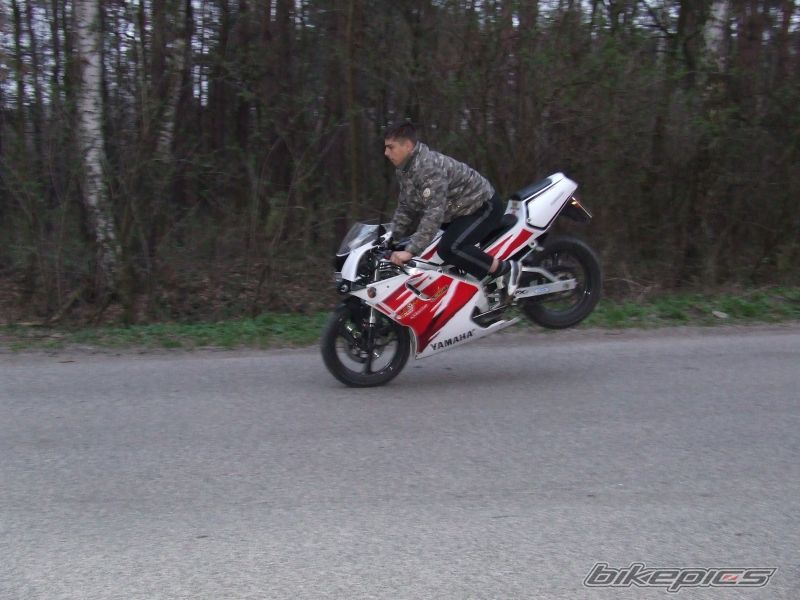 Photo 852049