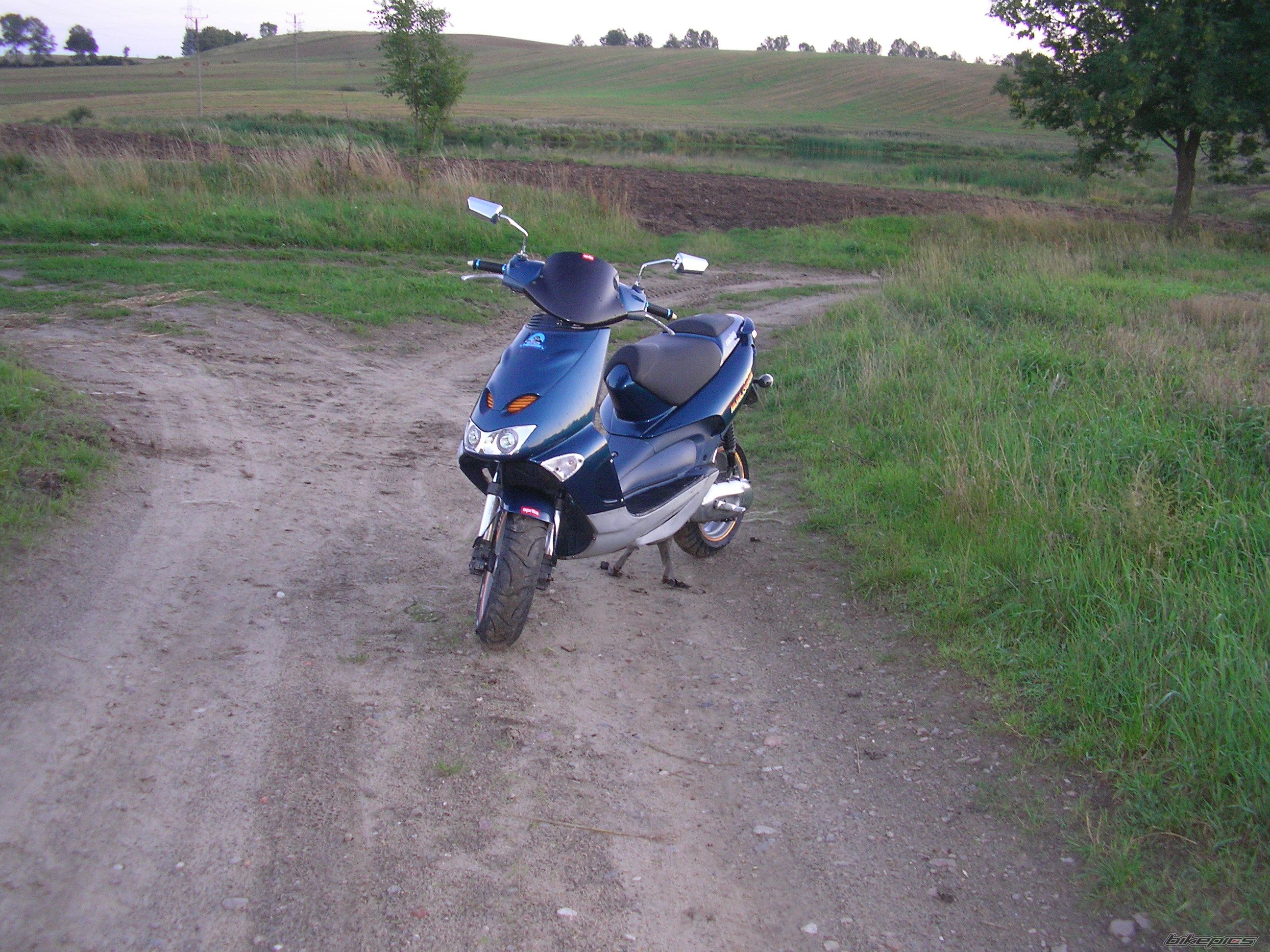 Photo 852059