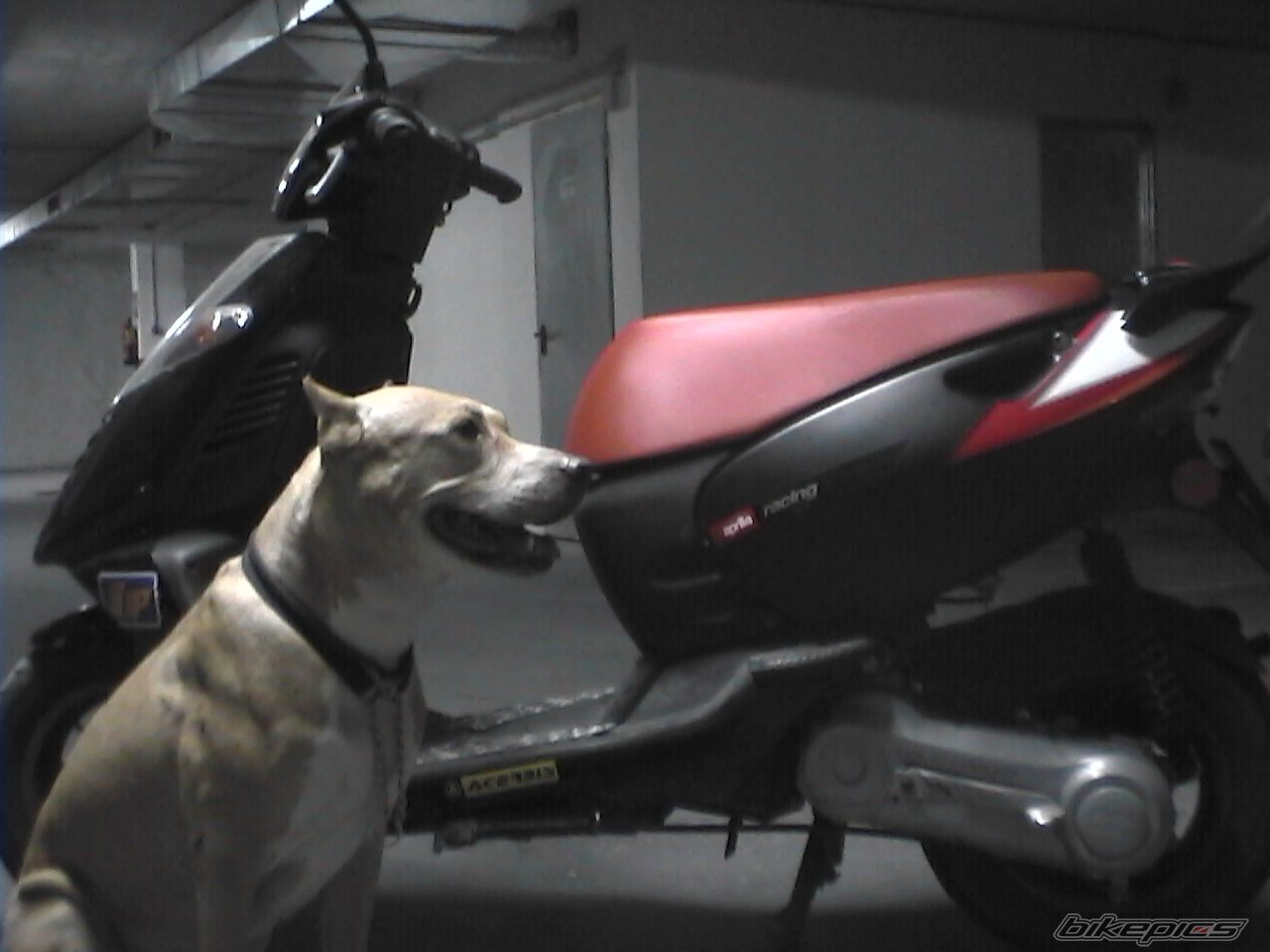Photo 852102