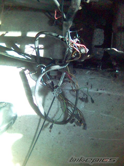 Photo 852716