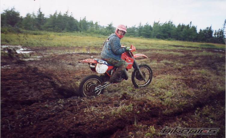 Photo 85272