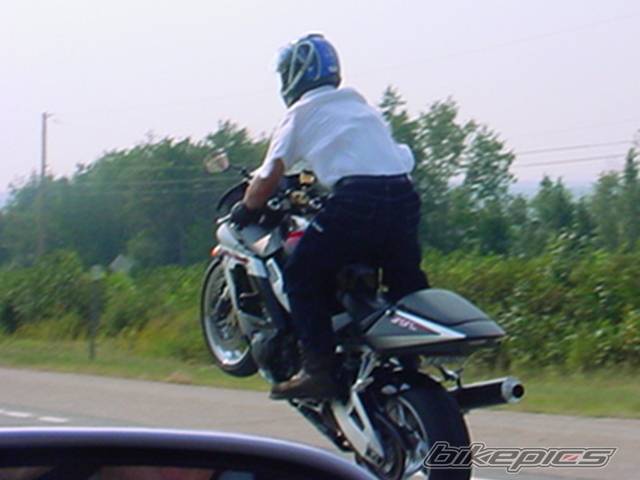 Photo 8529