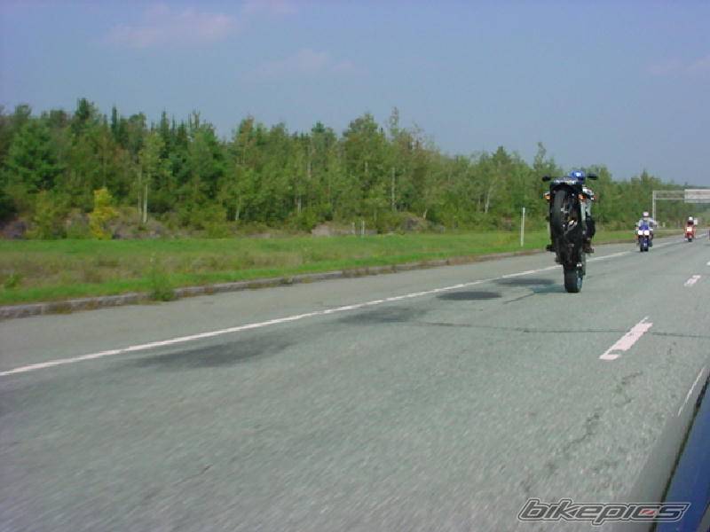Photo 8533