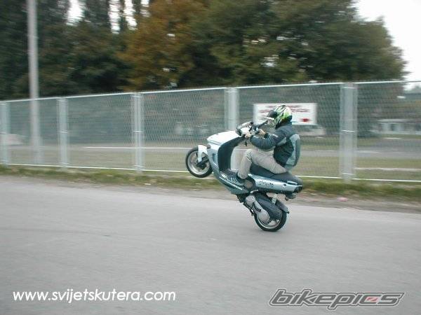 Photo 85357