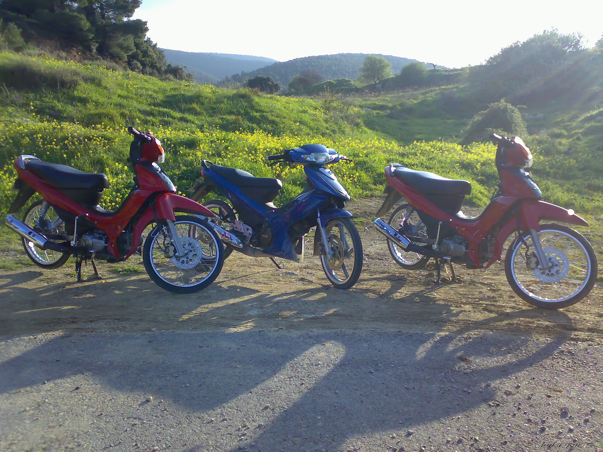 Photo 854219