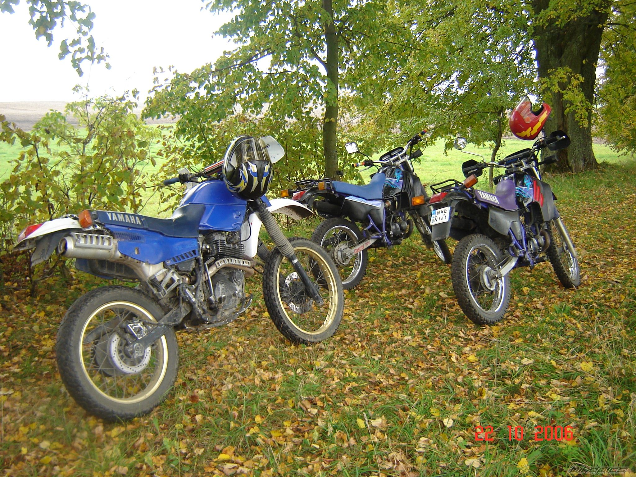Photo 854242