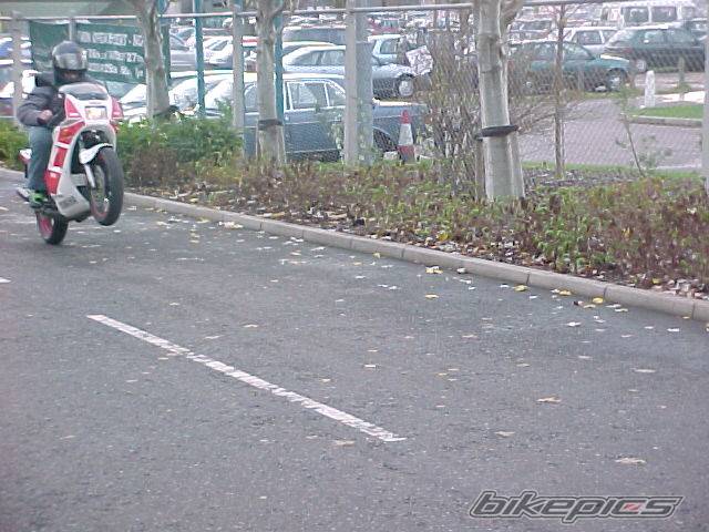 Photo 85461