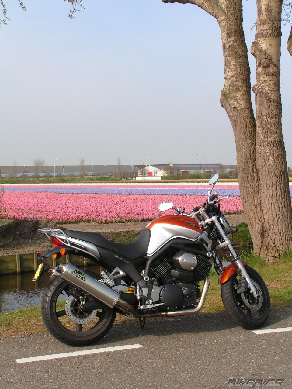 Bike Photo 854912