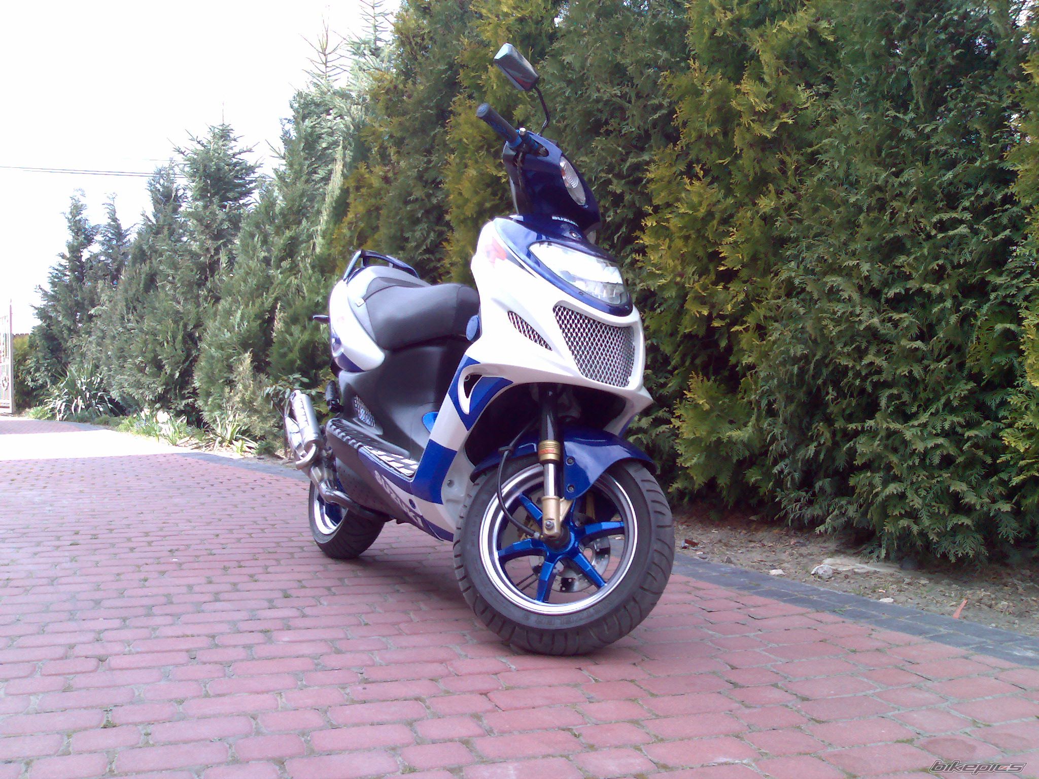 Photo 855184