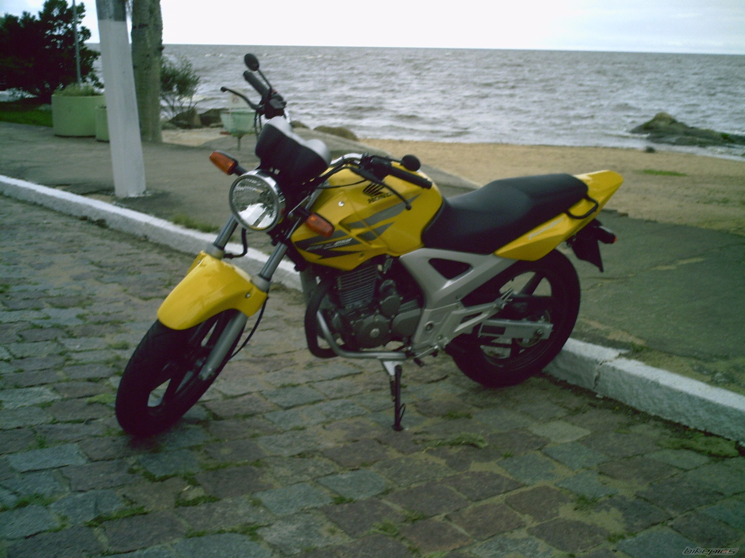 Photo 855313