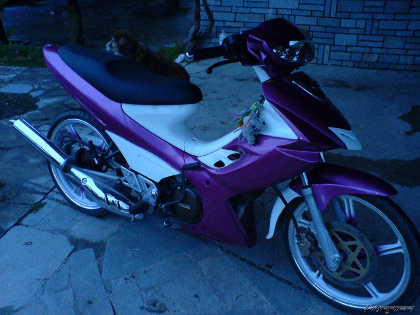 Photo 855726