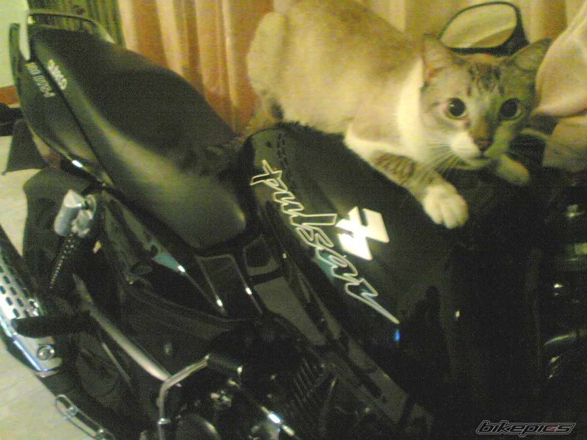 Bike Photo 855896