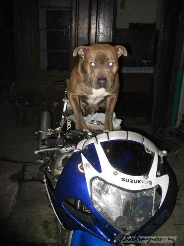 Bike Photo 856041