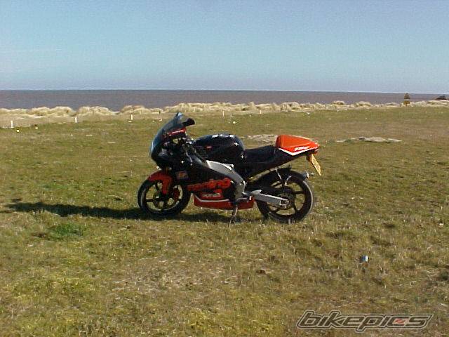 Photo 85664