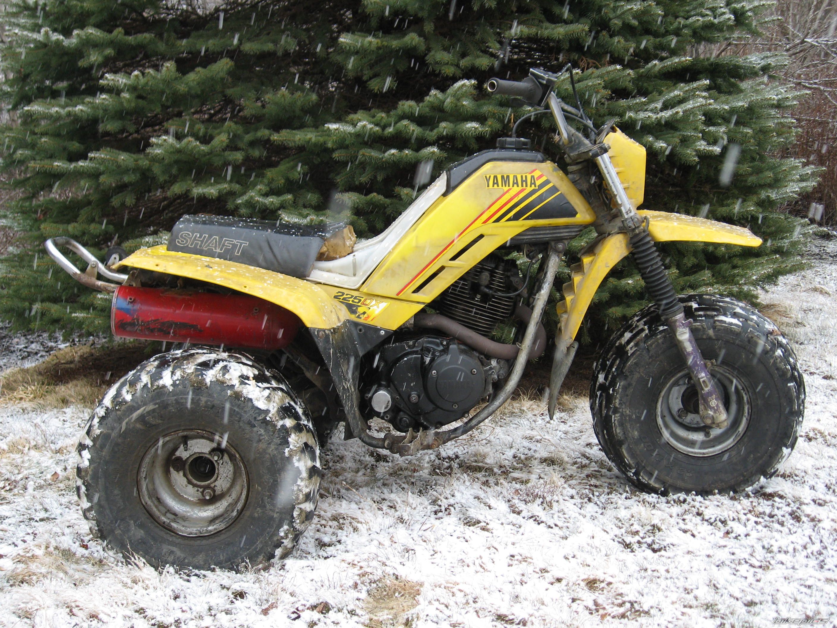 Bike Photo 856699