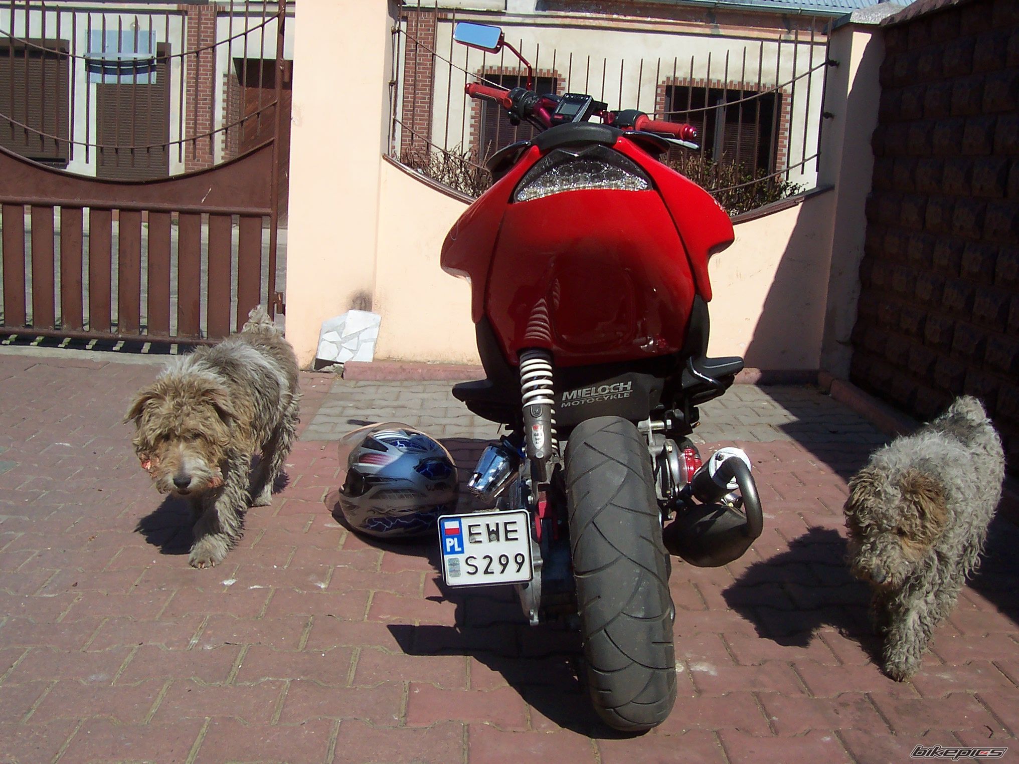 Photo 856753