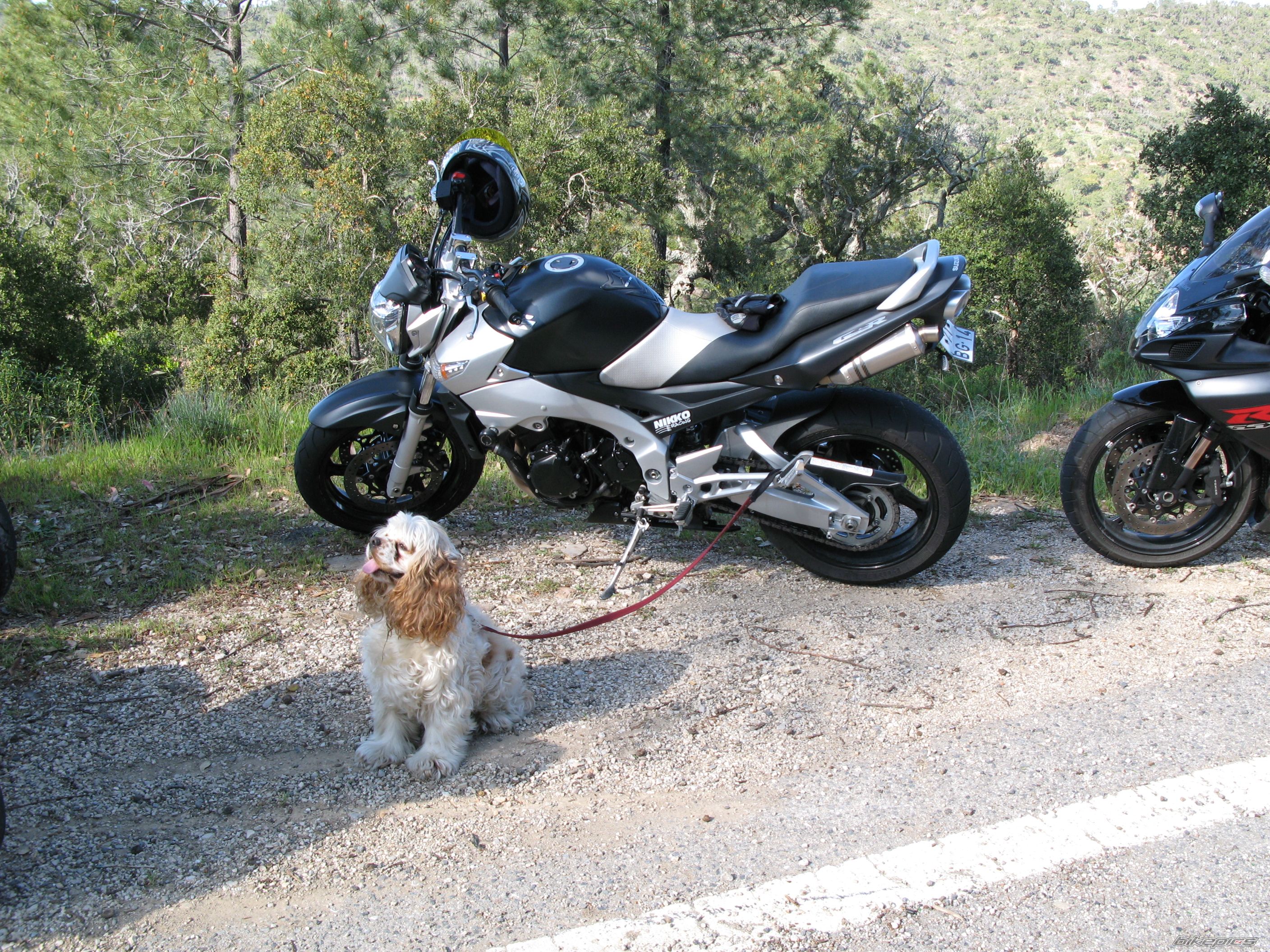 Bike Photo 856981