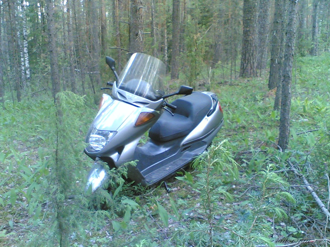 Photo 857414