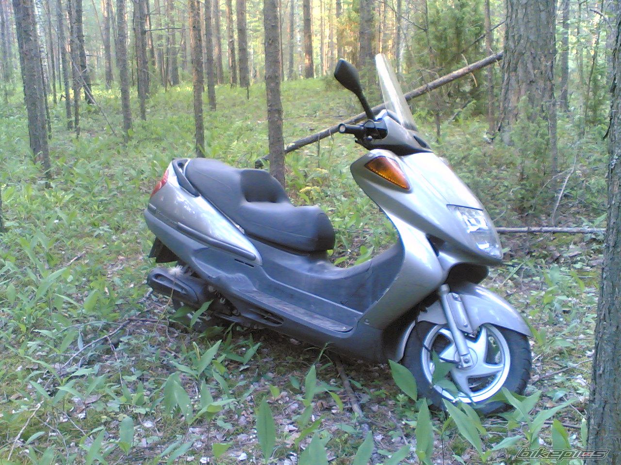 Photo 857418