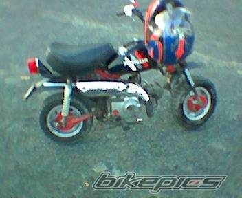 Photo 85779