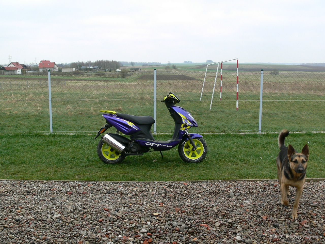 Photo 858293