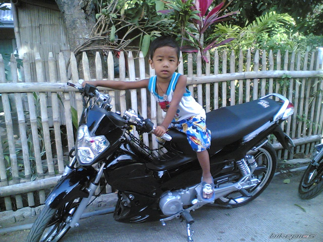 Photo 858707