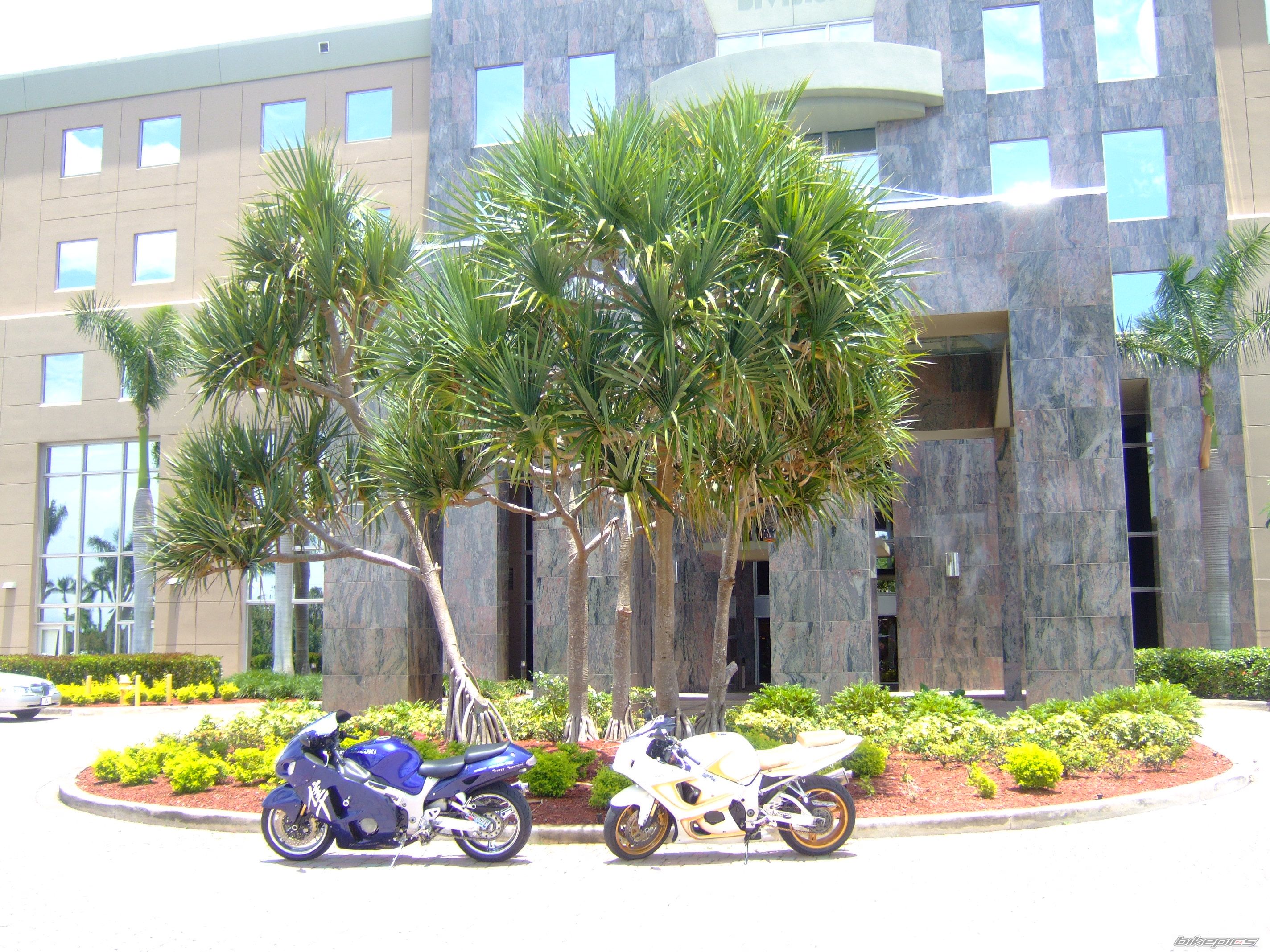 Bike Photo 859290