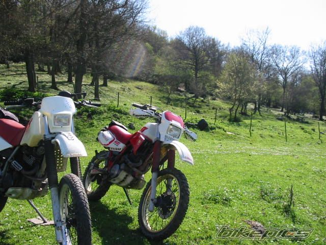 Bike Photo 860304