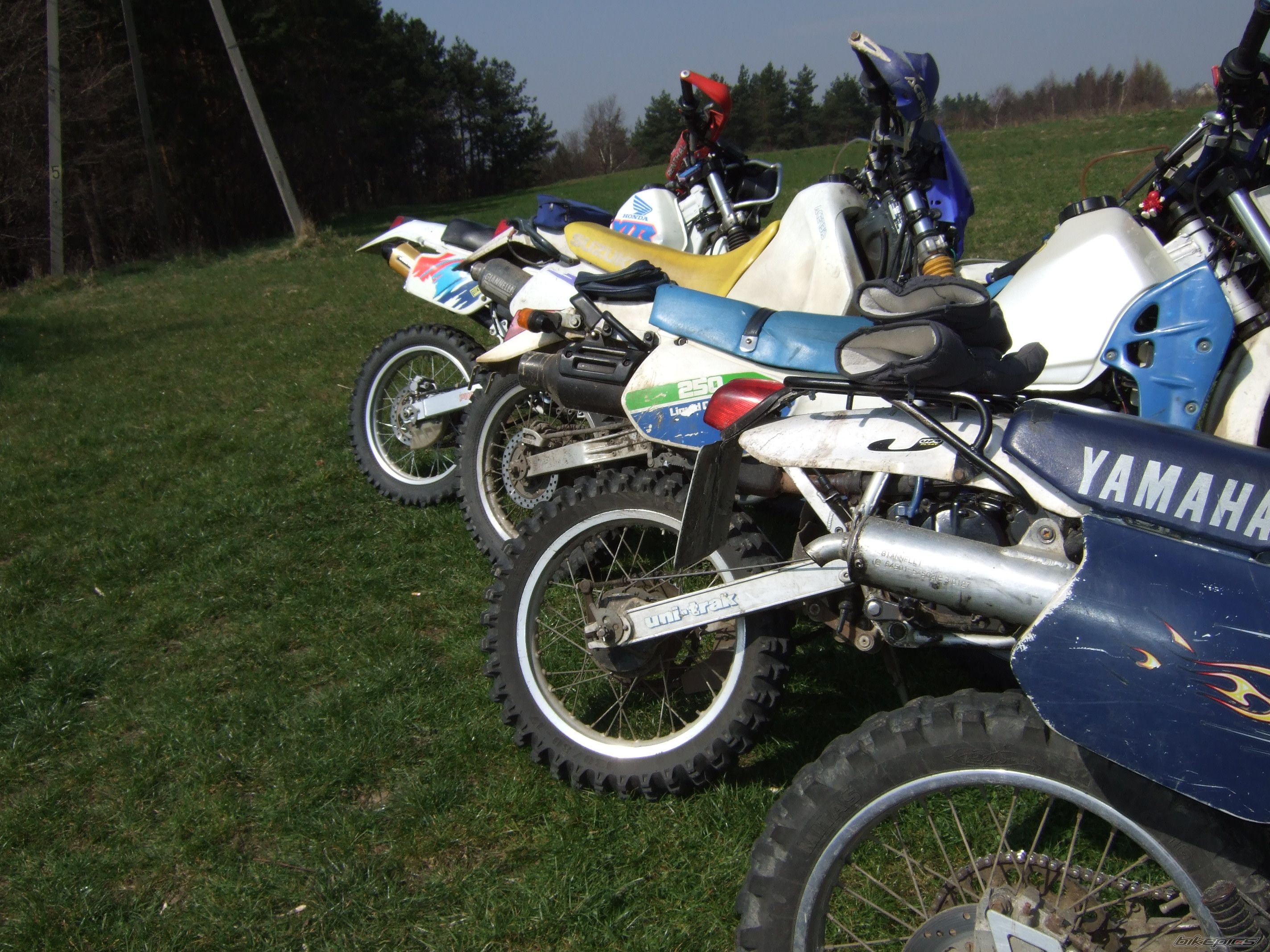 Photo 860390