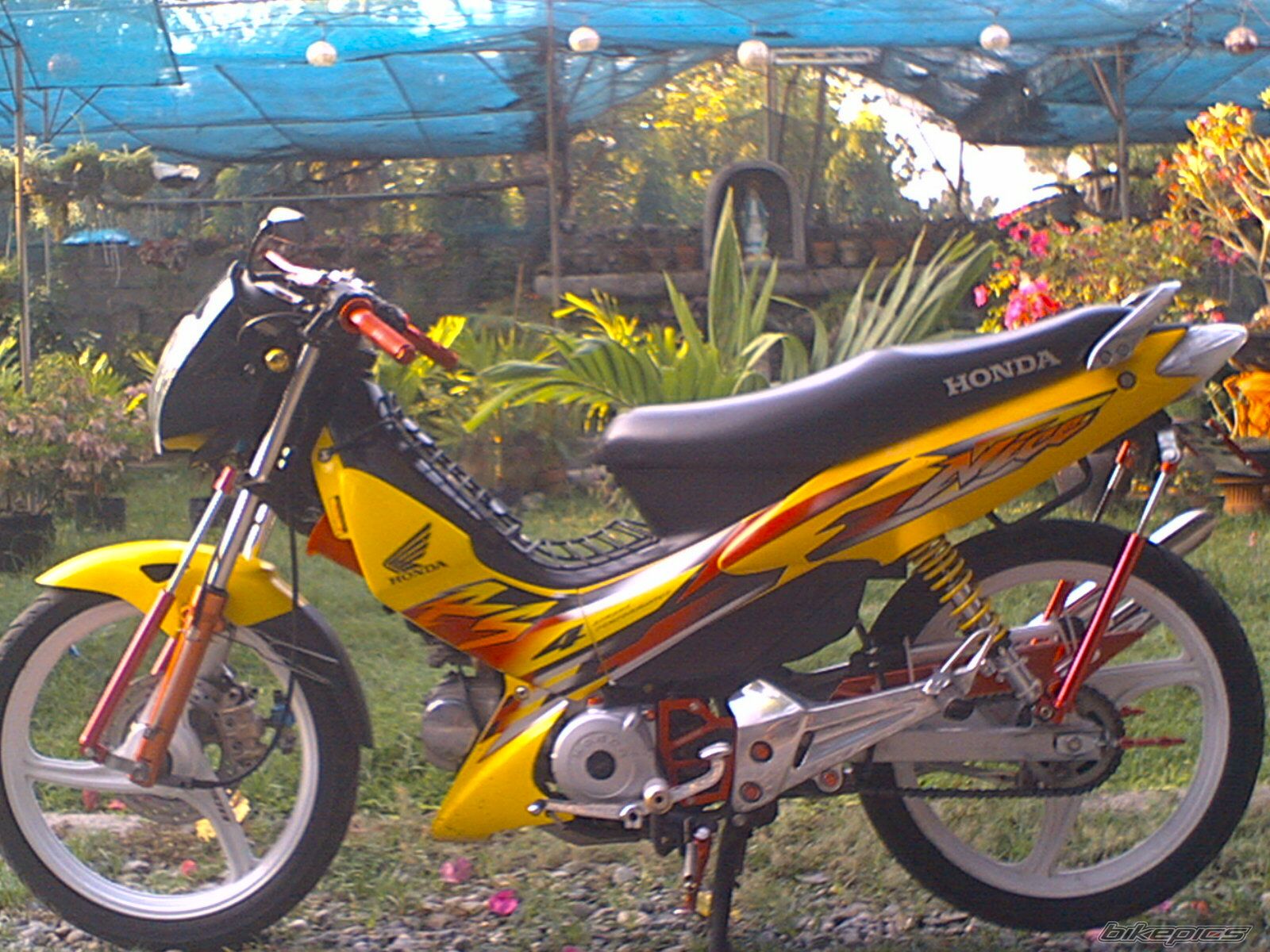 Photo 860642