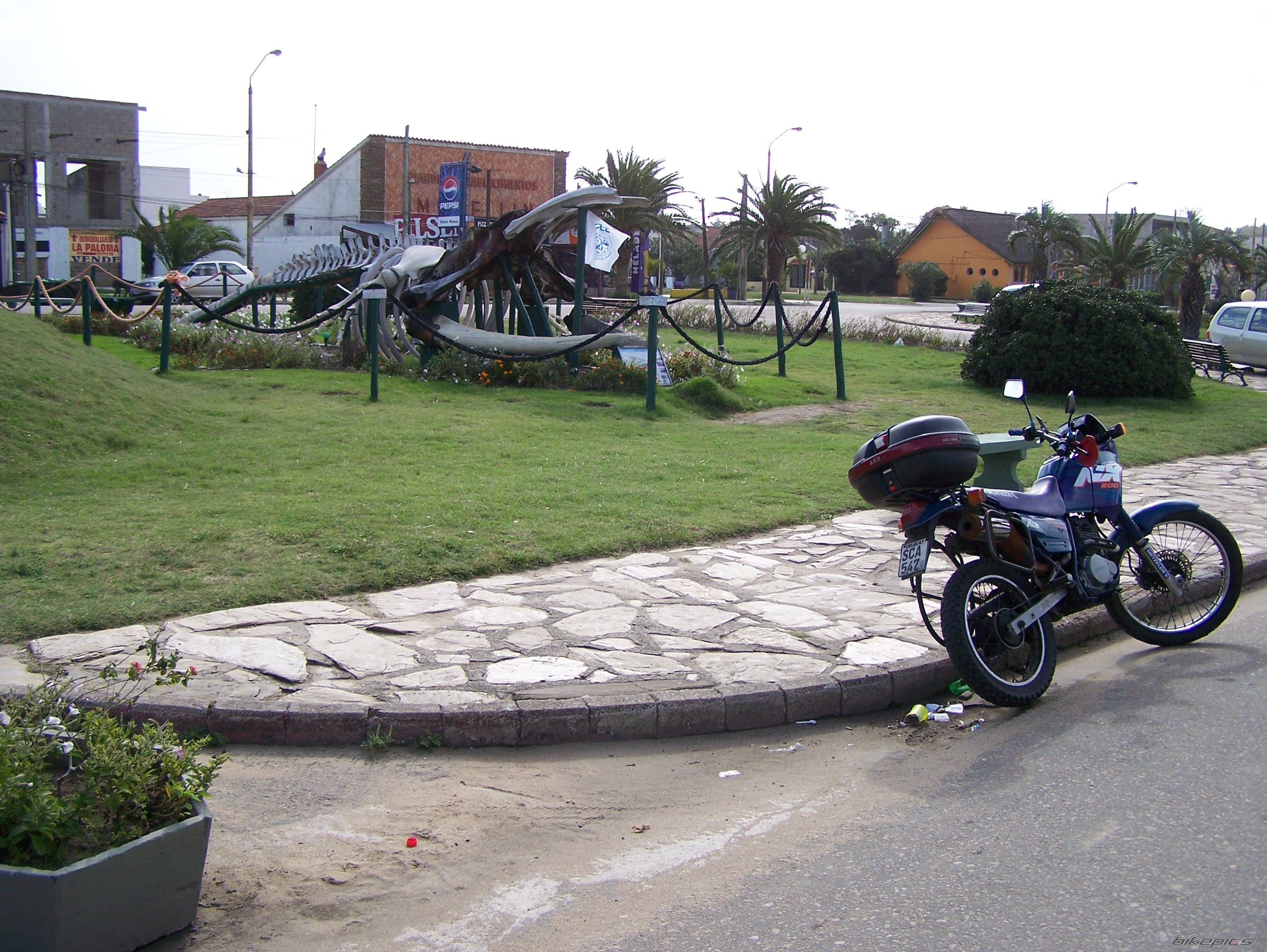 Photo 860812