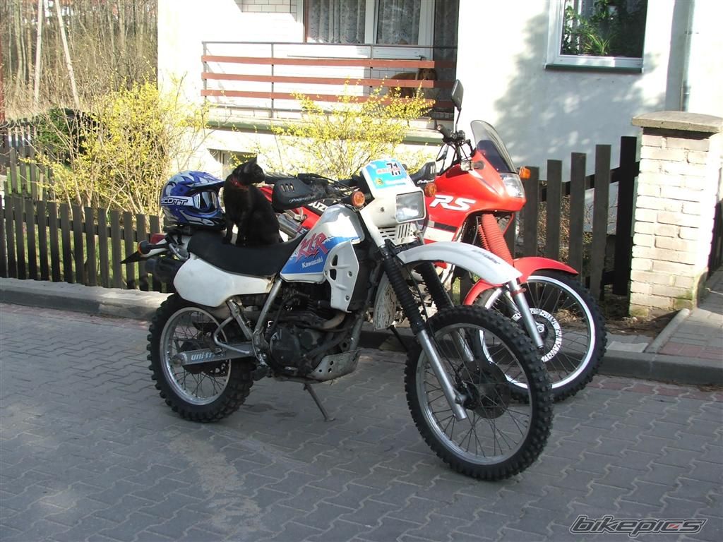Photo 860929