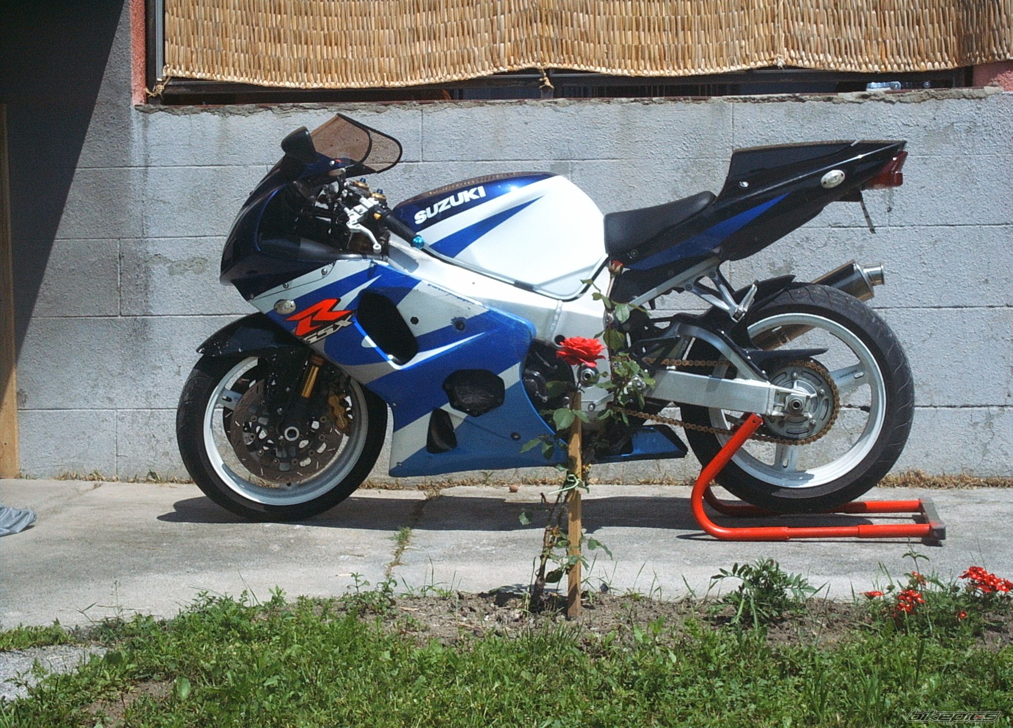 Photo 861348