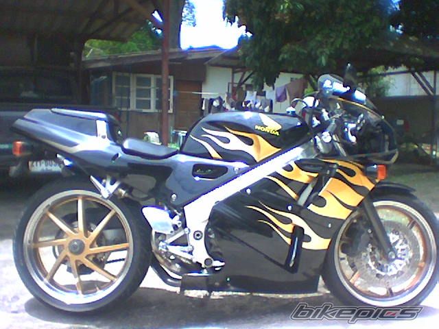 Photo 861432