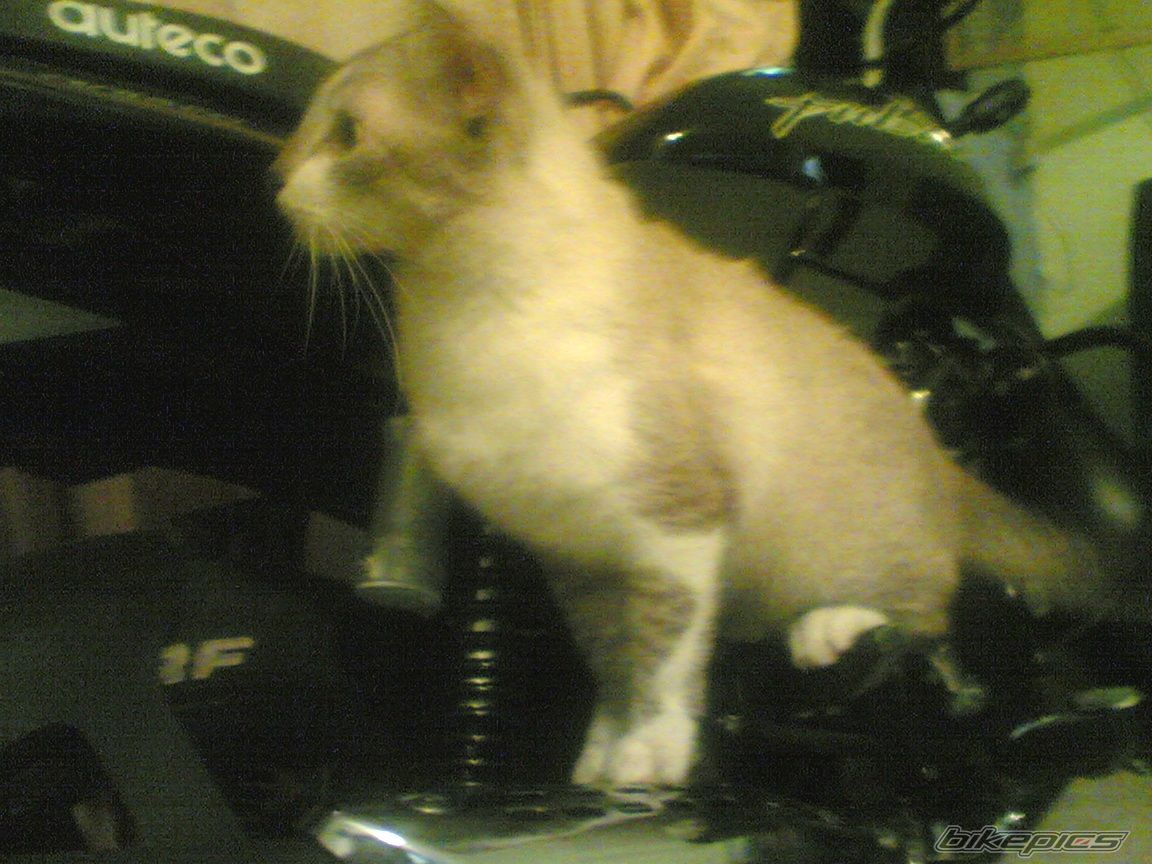 Bike Photo 861443