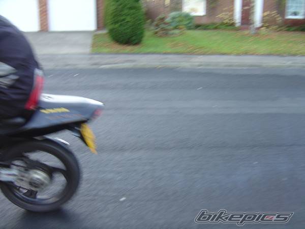 Photo 86157